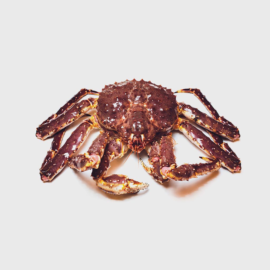 King crab | Seafood A-Z at HONEST CATCH