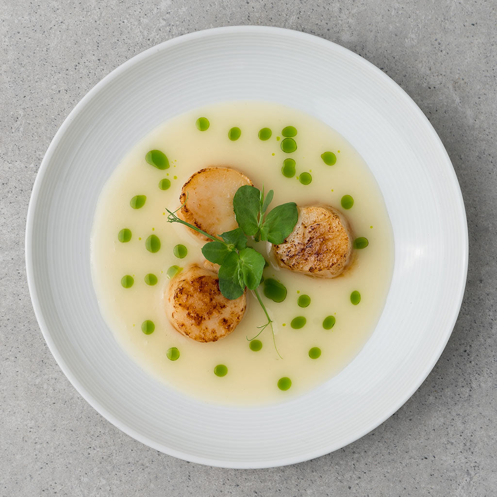 Scallops in Velouté with Herb Oil - Recipe | HONEST CATCH