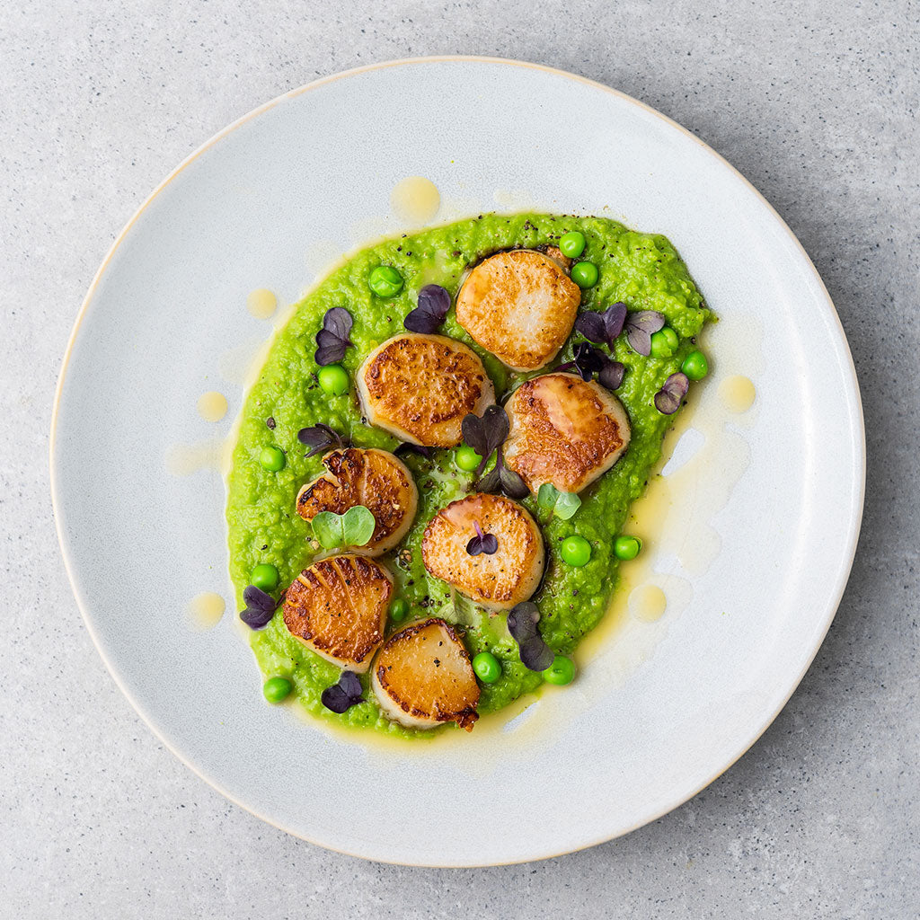 Scallops on Pea Puree Recipe | HONEST CATCH
