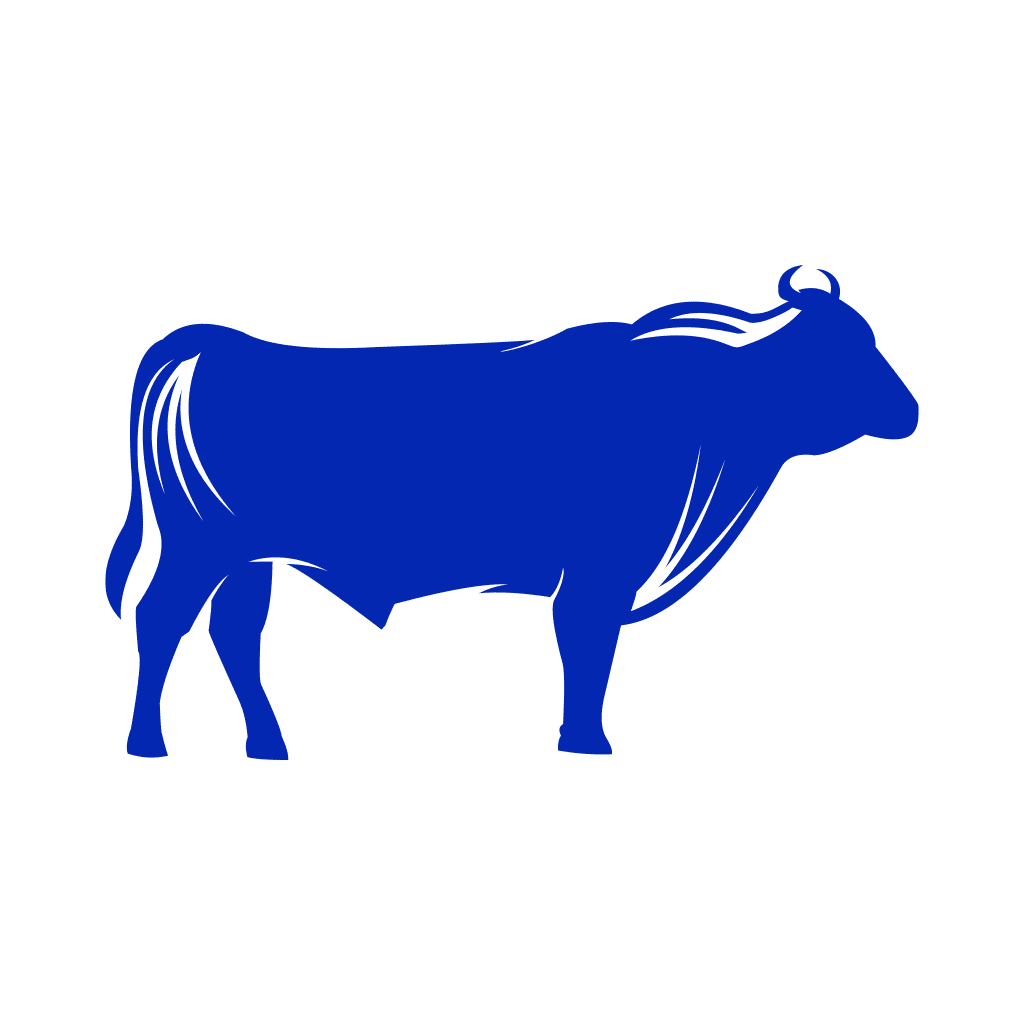 buy-wagyu-meat-from-germany-online-honest-catch