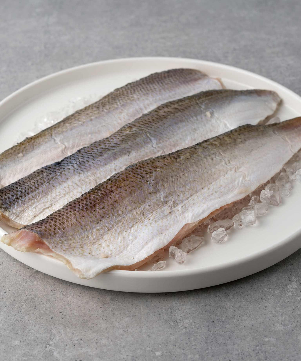 Buy whitefish fillet with skin online now HONEST CATCH