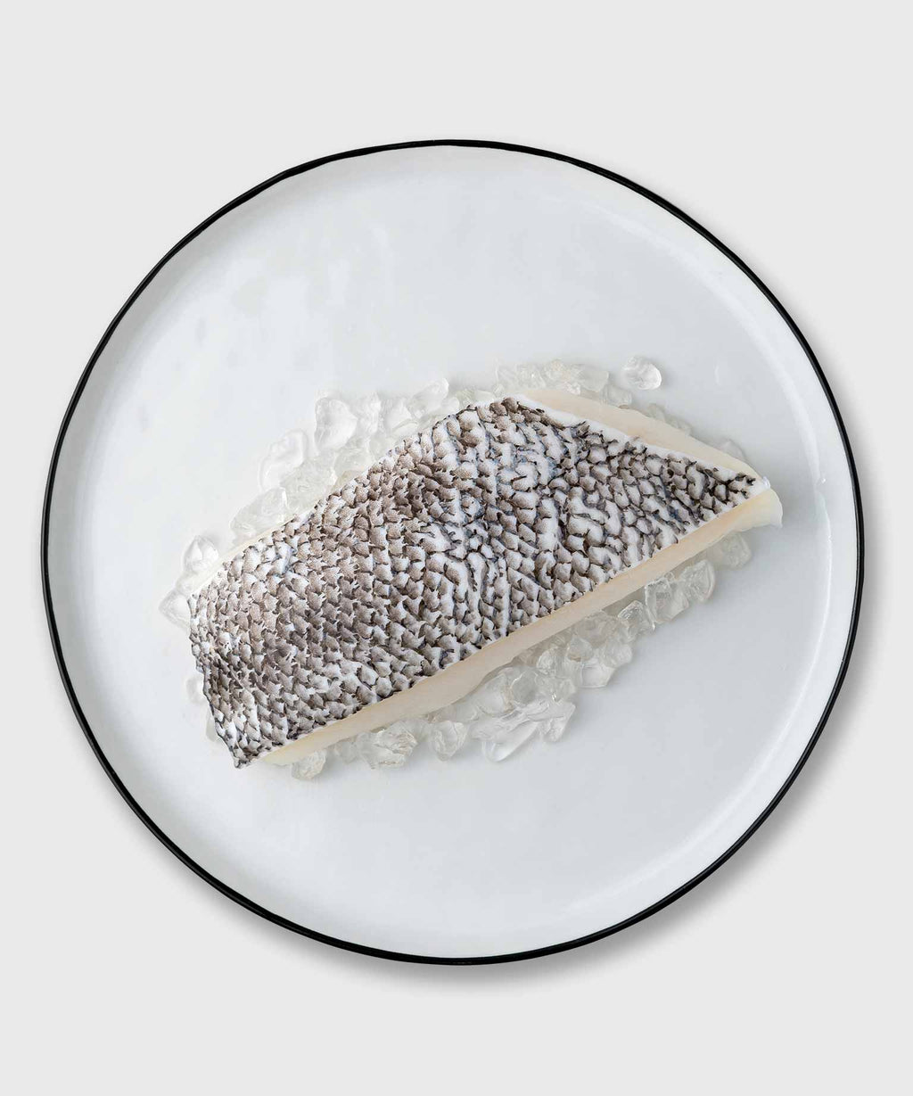 Patagonian Toothfish jetzt online kaufen HONEST CATCH