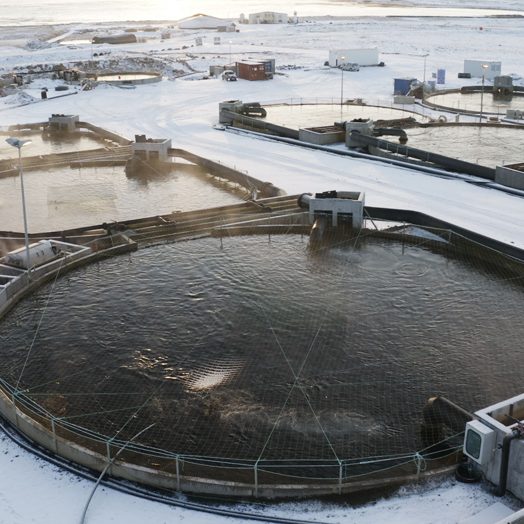 Why land-based farming is the future | HONEST CATCH
