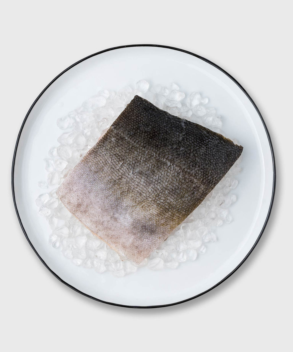 Tiefkühlfisch online einkaufen | HONEST CATCH
