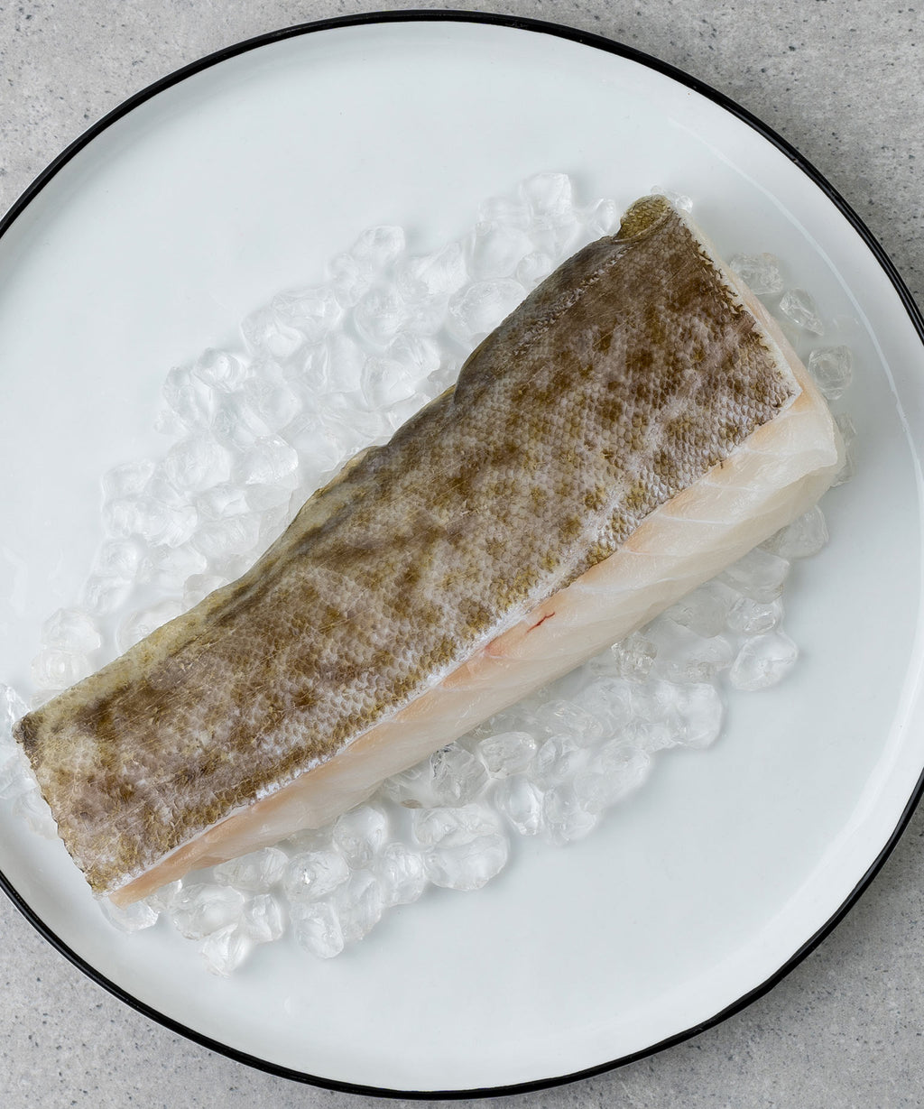 Kabeljau Filet online kaufen | HONEST CATCH