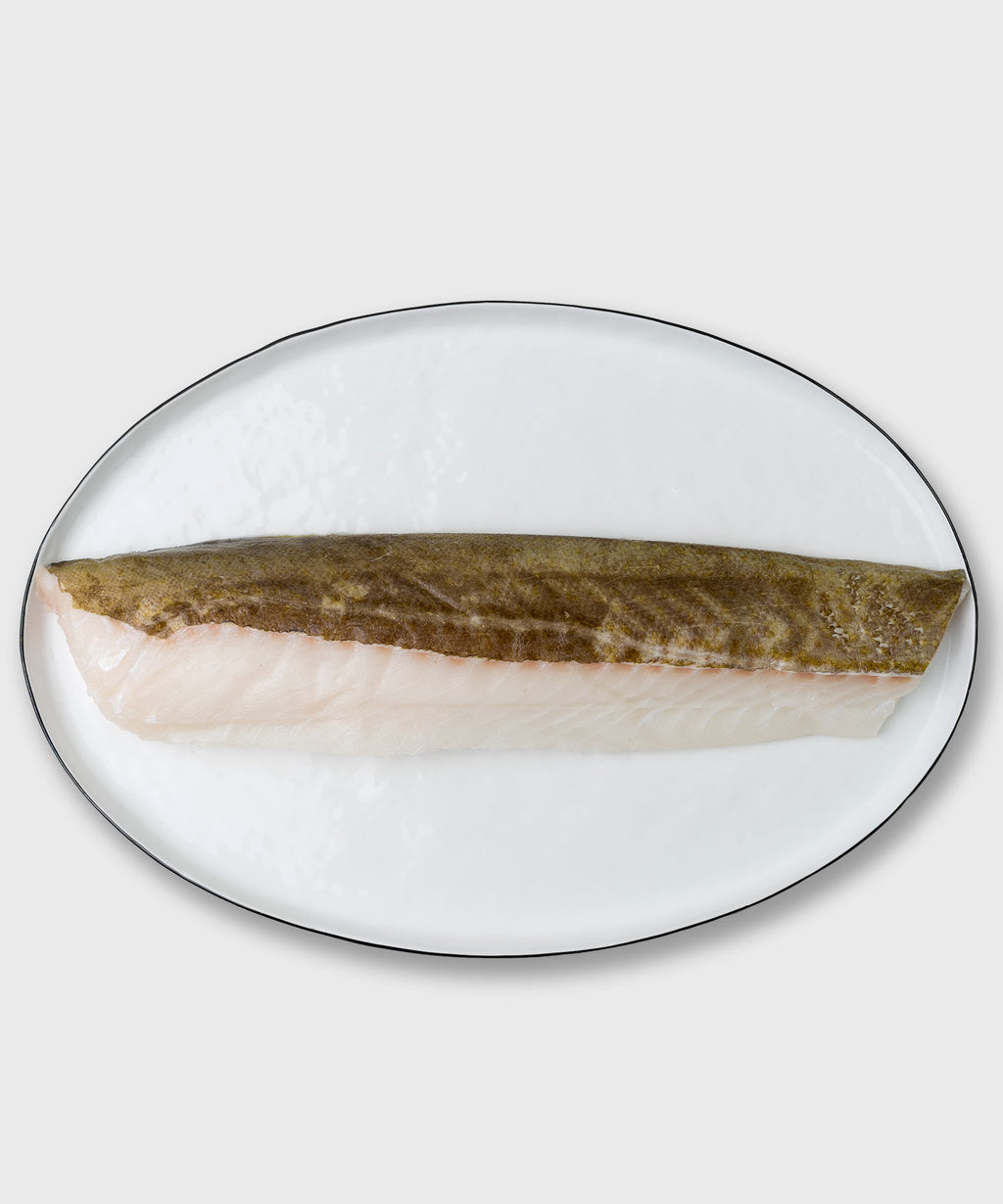Skrei Loins online kaufen | HONEST CATCH