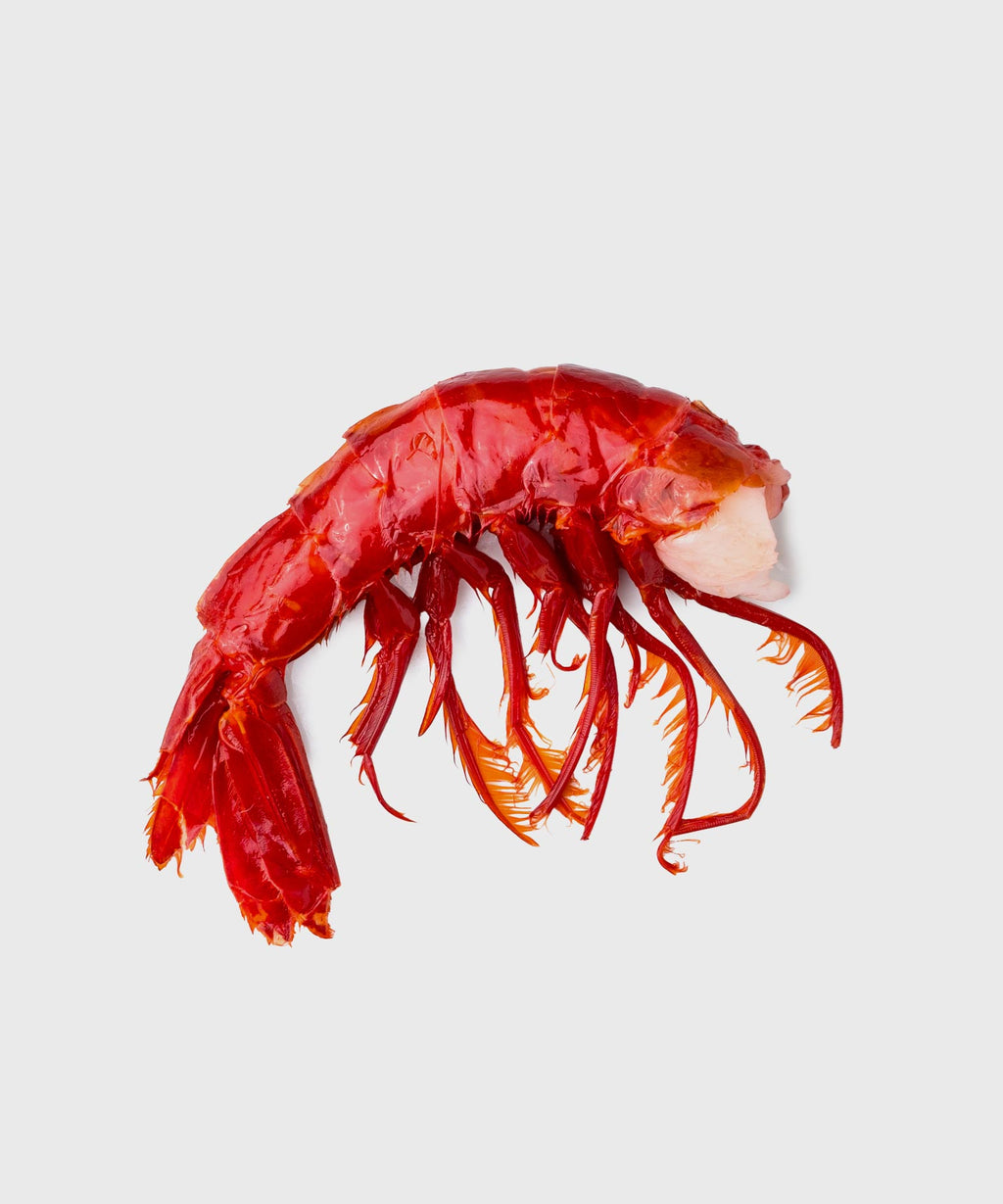 Carabinero Rote Tiefseegarnelen kaufen | HONEST CATCH