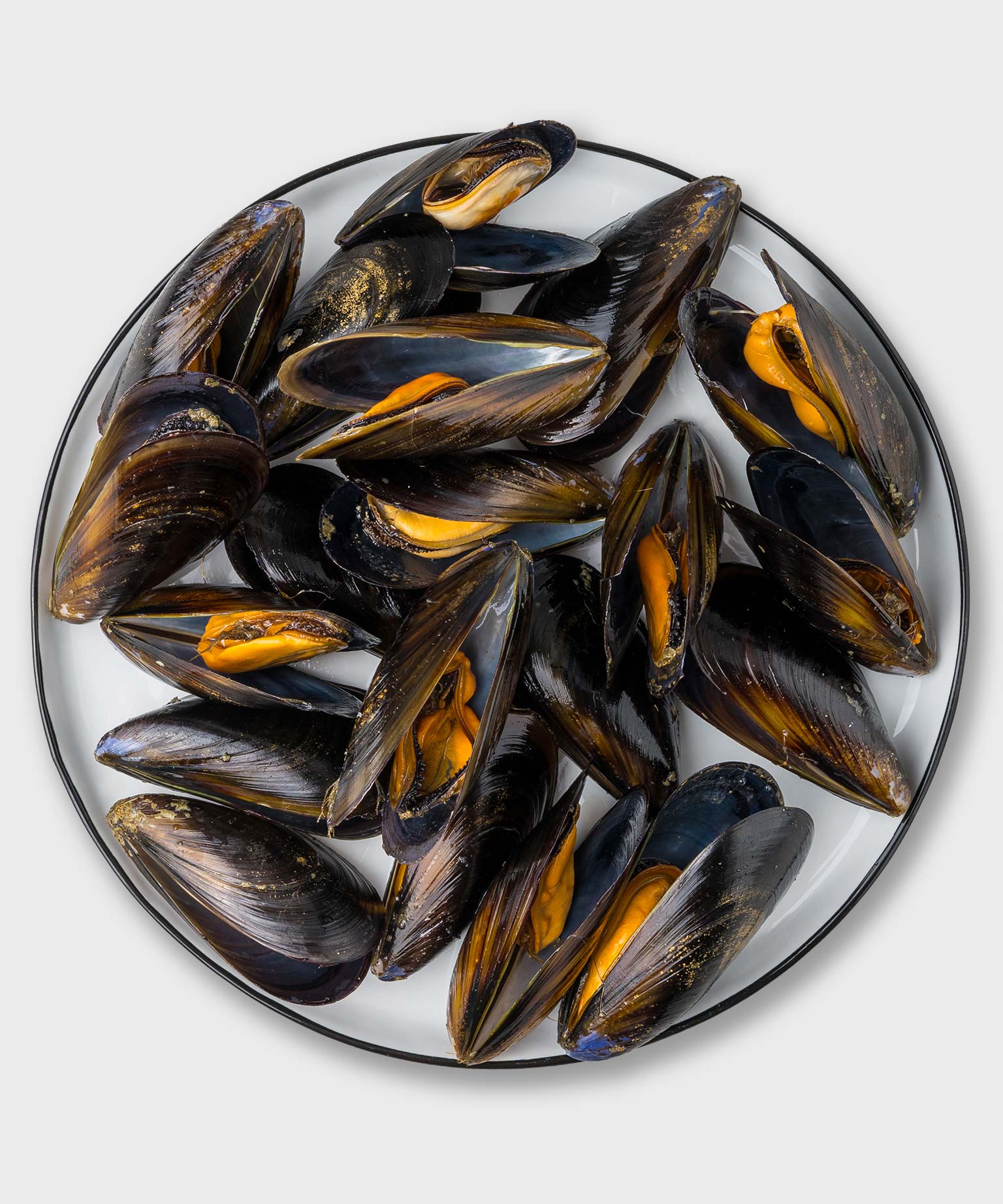 lebende miesmuscheln aufbewahren Miesmuscheln online kaufen