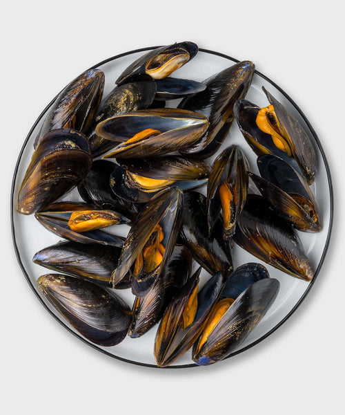 Miesmuscheln online kaufen