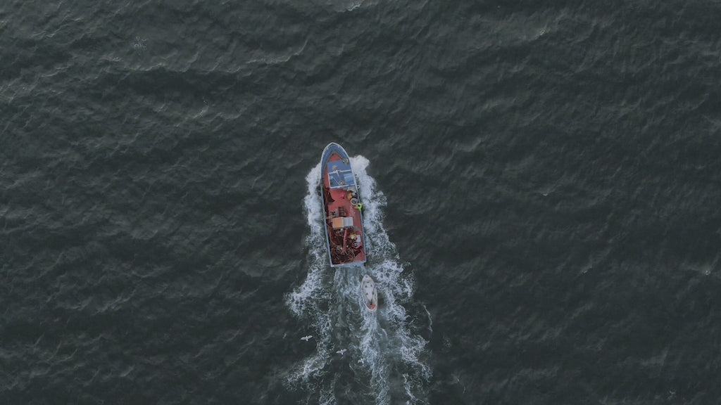 Bootsfahrt auf hoher See aus Vogelperspektive - Fangart für Rotgarnelen mit Pelagischen Netzen