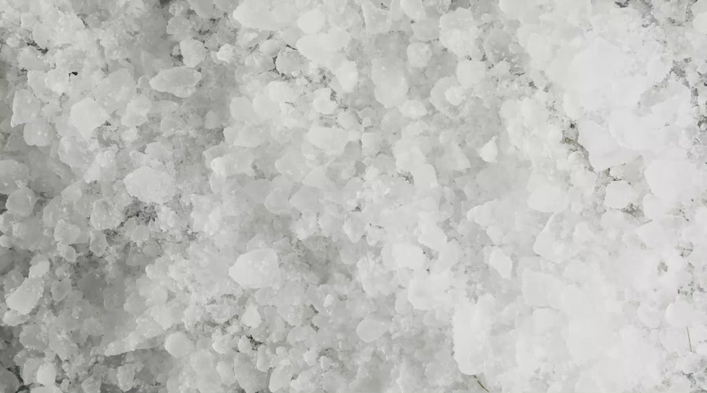 Garnelen in Crushed-Eis die im Zeitraffer auftauen