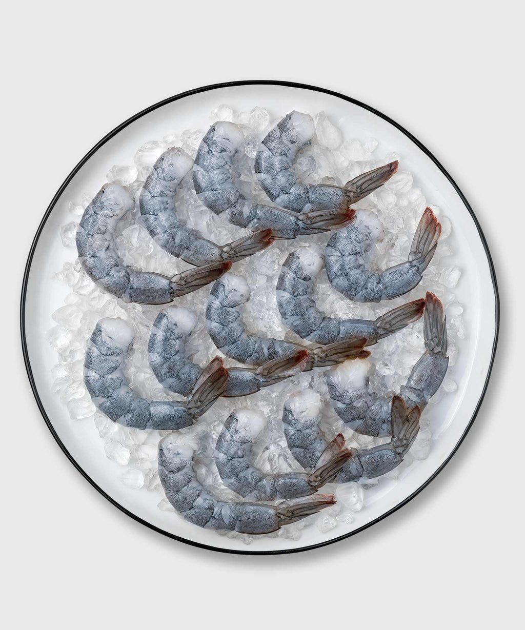 Alle Seafood Produkte shoppen | HONEST CATCH