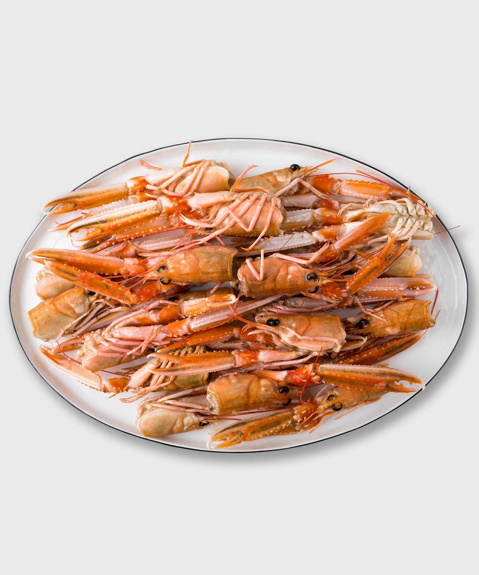 Kaisergranat Karkassen Online Kaufen HONEST CATCH Kaisergranat Karkassen Online Kaufen HONEST CATCH