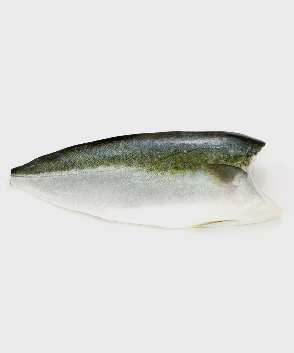 Hamachi Yellowtail Kingfish Seite kaufen | HONEST CATCH