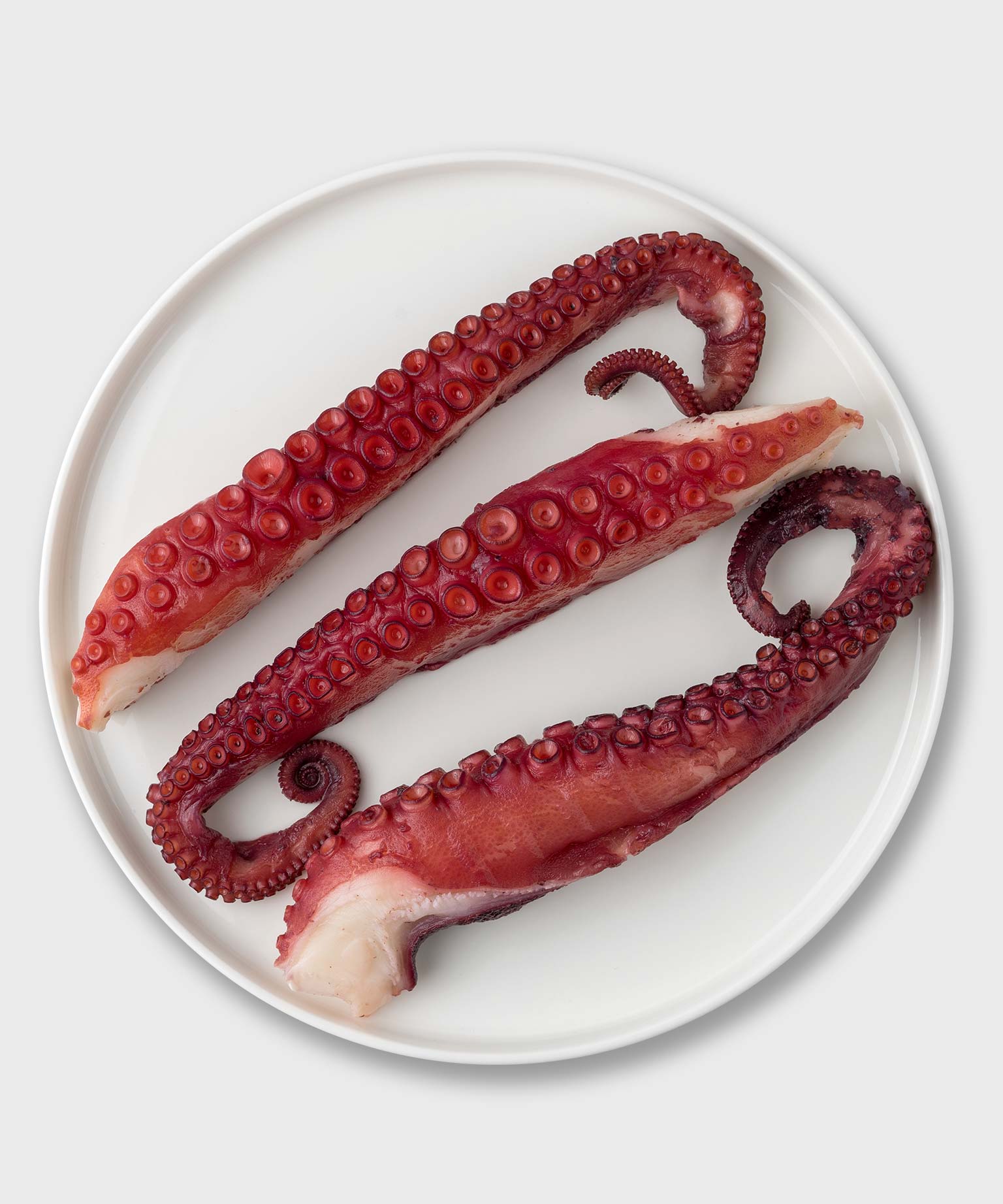 Octopus Arm Foto de stock 418931053 Octopus Arm Foto de stock 418931053