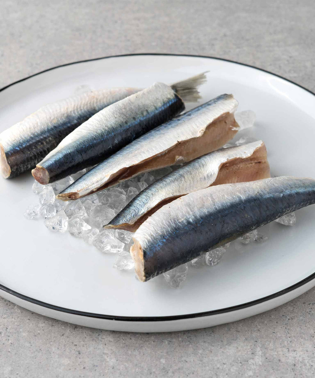 Bretonische Sardinen online kaufen HONEST CATCH