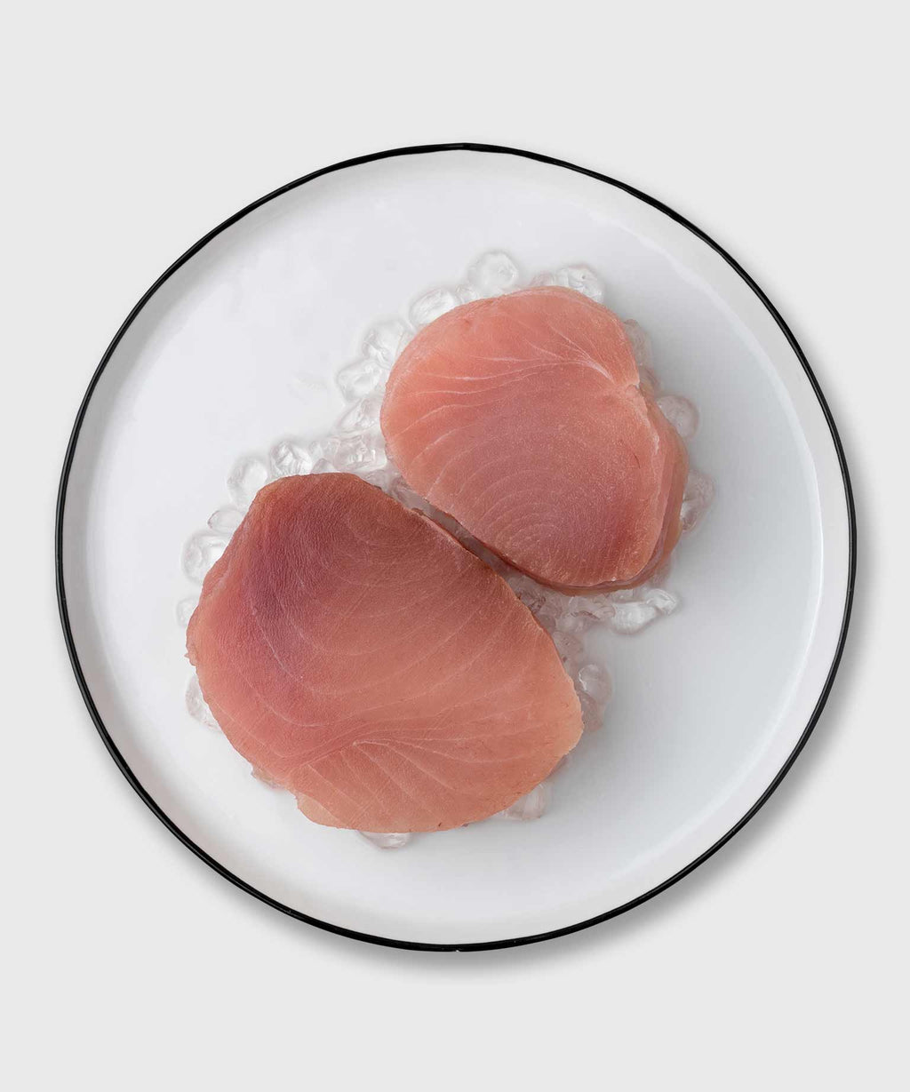 Albacore Thunfisch Steak online kaufen HONEST CATCH