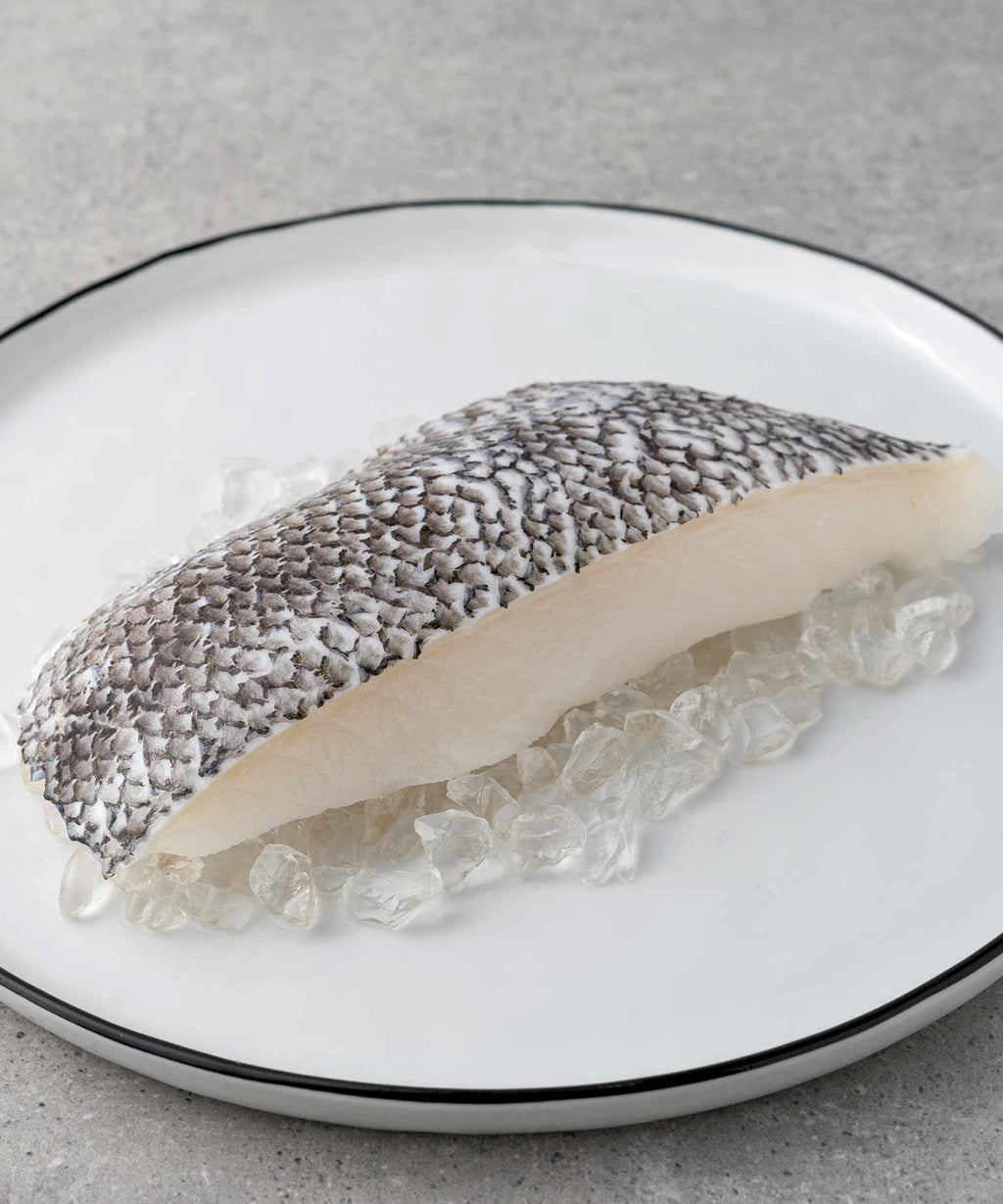 Patagonian Toothfish jetzt online kaufen HONEST CATCH